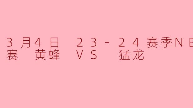 3月4日 23-24赛季NBA常规赛 黄蜂 VS 猛龙